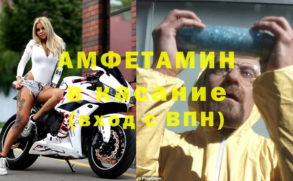 сатива Алексеевка