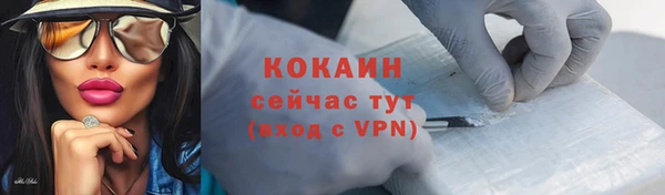 кокс Алексин