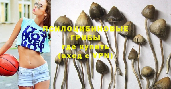 кокс Алексин