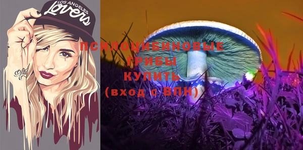 сатива Алексеевка