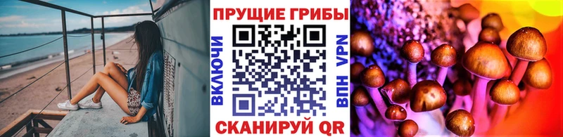 Псилоцибиновые грибы мицелий  Ленинск 